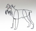 Wire Sculpture of a Schnauzer by Bridget Baker