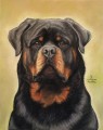 Rottweilier in Pastel by Eskandar Magzub