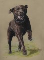Alfie Portraiture Sample by Hannah Steedman