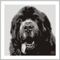 Print of Newfoundland on Grey by Emily Burrowes