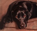   Black Labrador Painting by Hazel Morgan