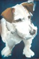 Jack Russell Portrait Sample by Sally Muir