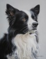  Border Collie by Marc Mitchard