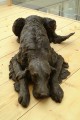 Velvet a Lifesized Irish Setter Sculpture by Rosemary Cook