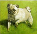 Portraiture Sample of a White Pug in Oil  by Tor Hildyard