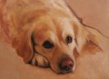   Golden Retriever Painting by Hazel Morgan