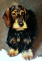   Wire haired Dachshund Painting by Hazel Morgan