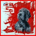 Who Me? by Diane Haddon-Moore