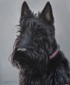  Scottie Dog Study by Marc Mitchard