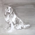   Cavalier King Charles Spaniel by Ian Mason