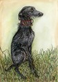 Wispy Whiskers by Elle Wilson