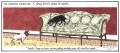    Quick jump up here, you're getting muddy paws all over the carpet by Annie Tempest