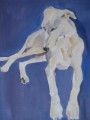 Longdog  Portrait Sample by Sally Muir