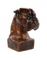 Boxer Head Study II by Marie Ackers