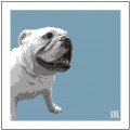 Print of British Bulldog on Blue by Emily Burrowes