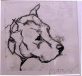   Dogo Argentino by Ian Mason