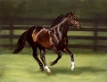  Storm Cat Equestrian Portrait by Hazel Morgan