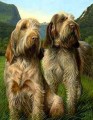   Latin Spirit Spinone Painting by Nigel Hemming
