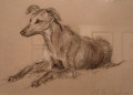 Lurcher Painting by Camilla Gardner