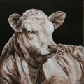 Dolly Daydream by Toni Hargreaves