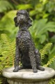 Pandora a Poodle Sculpture by Rosemary Cook
