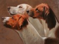 Three Hounds Portrait Sample by Hazel Morgan
