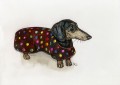 Dotty Dachshund by Elle Wilson