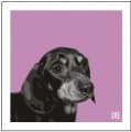 Print of a Dachshund on Pink by Emily Burrowes