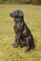 Teal a Labrador Sculpture by Rosemary Cook