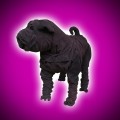 Suede Leather Shar Pei Sofa Dog Sculpture by Dominic Gubb