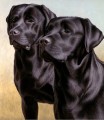 Two of a Kind by Nigel Hemming