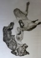Scratch A Collagraph by Tor Hildyard