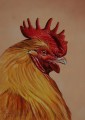 Corky by Toni Hargreaves