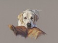 Dervish a Pastel by Mark Hankinson
