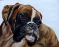 Louis Boxer Dog Study by Thuline de Cock