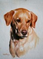 Yellow Labrador Portrait Sample by Hazel Morgan