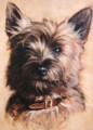   Cairn Terrier Painting by Hazel Morgan