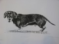 Sausage A Lithograph by Tor Hildyard