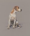 Bella a Pastel by Mark Hankinson