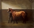  Colt in Stable by Hazel Morgan