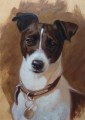   Jack Russell Painting by Hazel Morgan