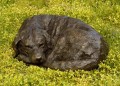 Snowy a Lifesized Labrador Sculpture by Rosemary Cook