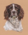 Portraiture Sample of Jasper by Hannah Steedman