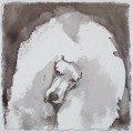   Poodle II by Ian Mason