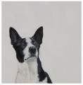 Portraiture Sample by Coral Hutchings