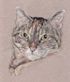 Portraiture Sample of Tufty by Hannah Steedman