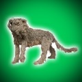 Standing Ropey Dog II Sculpture by Dominic Gubb