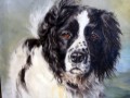Sweep an Oil Painting by Kathryn Dalziel